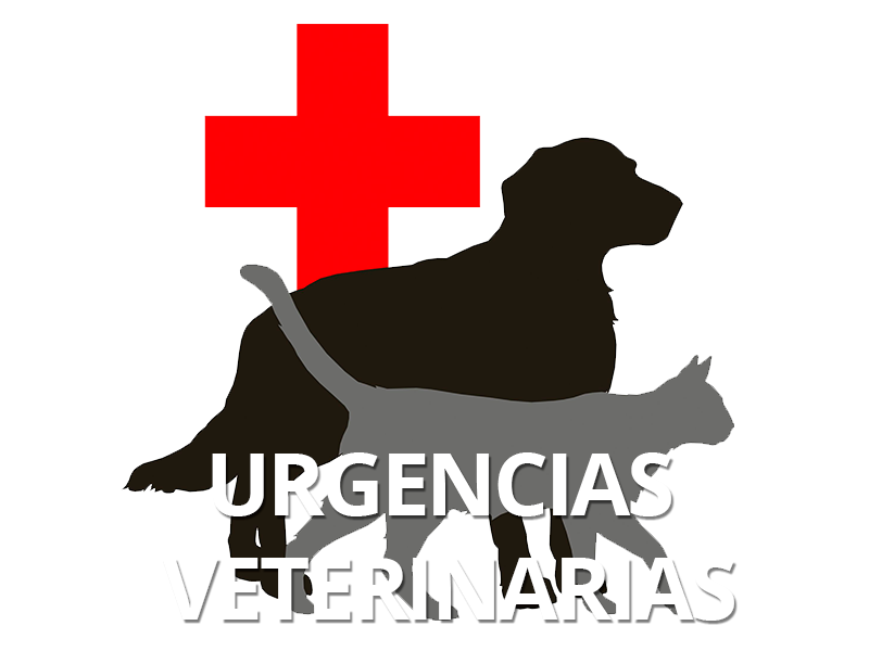 Urgencias veterinarias