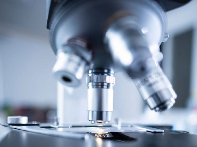 citologia veterinaria paracuellos