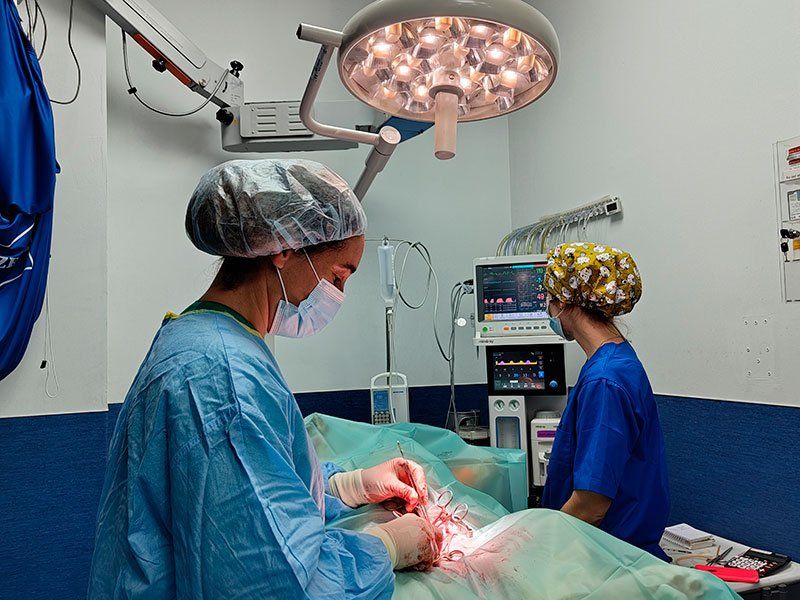 Cirugía tejidos blandos