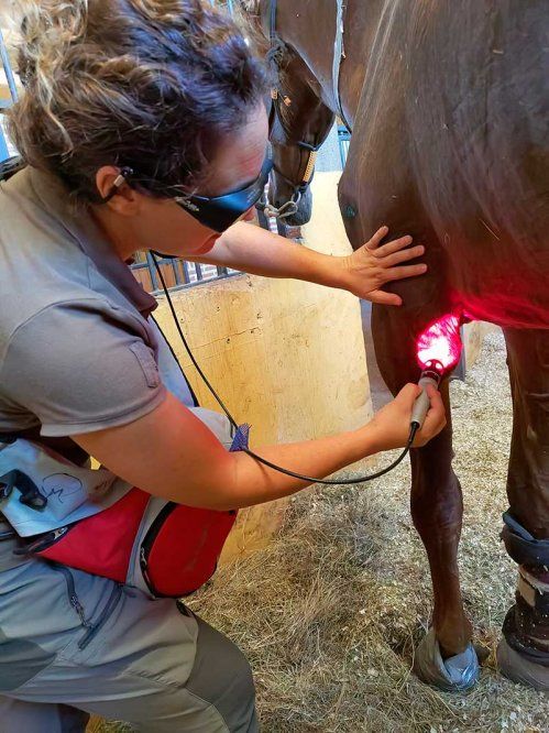 Terapia con láser de DoctorVet