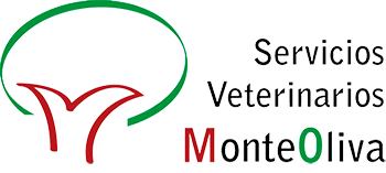 SERVICIOS VETERINARIOS MONTEOLIVA